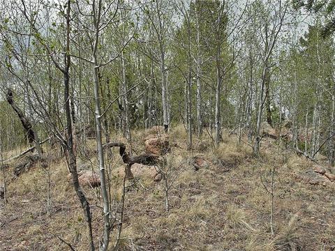 255 Starling Way, Como, CO 80432 photo 24