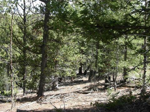 255 Starling Way, Como, CO 80432 photo 3