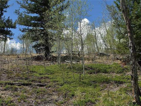 255 Starling Way, Como, CO 80432 photo 18
