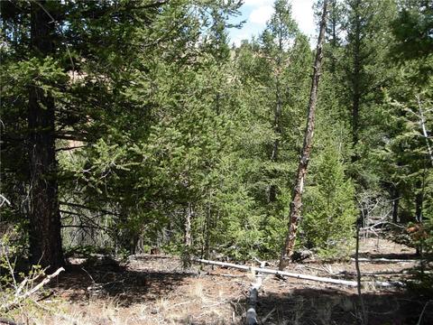 255 Starling Way, Como, CO 80432 photo 2