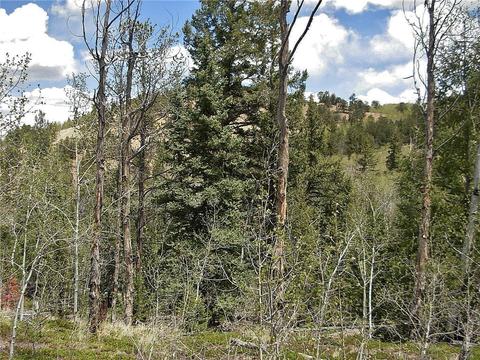255 Starling Way, Como, CO 80432 photo 21