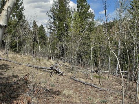 255 Starling Way, Como, CO 80432 photo 25