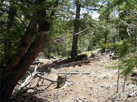 255 Starling Way, Como, CO 80432 photo 6