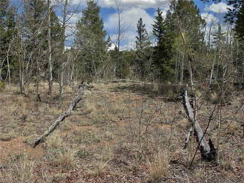255 Starling Way, Como, CO 80432 photo 9