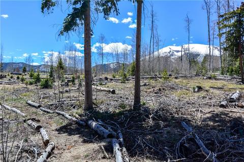 9042 Ryan Gulch Rd, Silverthorne, CO 80498 photo 12
