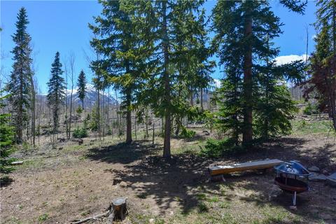 9042 Ryan Gulch Rd, Silverthorne, CO 80498 photo 13