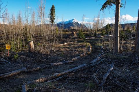 9042 Ryan Gulch Rd, Silverthorne, CO 80498 photo 3