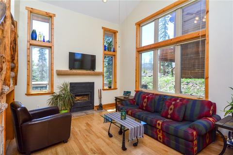 9042 Ryan Gulch Rd, Silverthorne, CO 80498 photo 7