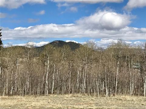 626 Pronghorn Dr, Como, CO 80432 photo 5