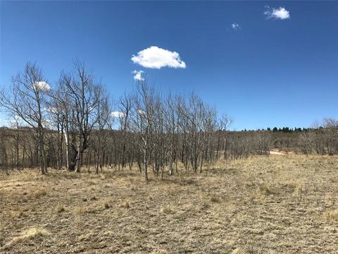 626 Pronghorn Dr, Como, CO 80432 photo 3