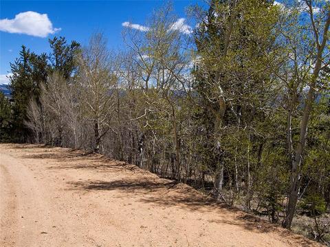 90 Buckhorn Rd, Como, CO 80432 photo 8