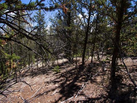 90 Buckhorn Rd, Como, CO 80432 photo 3