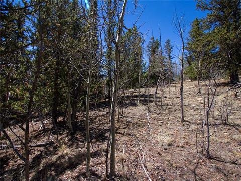 90 Buckhorn Rd, Como, CO 80432 photo 4