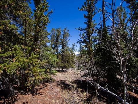 90 Buckhorn Rd, Como, CO 80432 photo 5