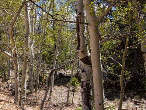 90 Buckhorn Rd, Como, CO 80432 photo 9
