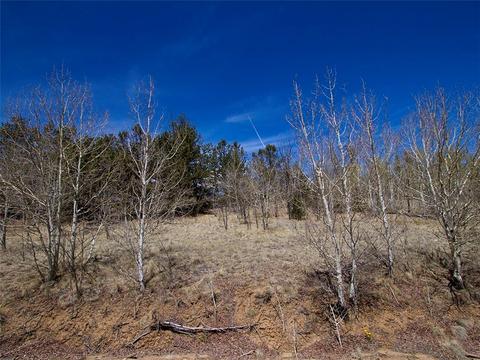 90 Buckhorn Rd, Como, CO 80432 photo 14