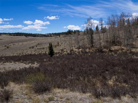 252 Albino Rd, Como, CO 80432 photo 15