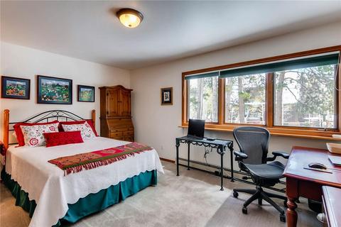 46 Riverview Dr, Frisco, CO 80443 photo 17