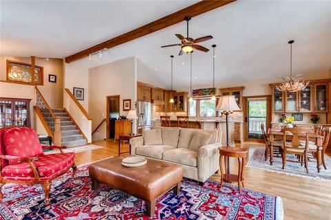 46 Riverview Dr, Frisco, CO 80443 photo 11