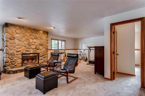 46 Riverview Dr, Frisco, CO 80443 photo 19