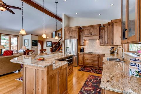 46 Riverview Dr, Frisco, CO 80443 photo 3