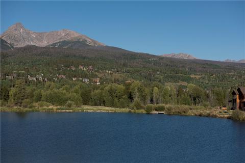 36 Fenwick Ln, Silverthorne, CO 80497 photo 22
