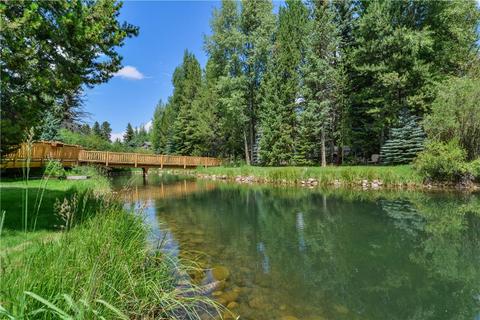64 Spur Ct, Silverthorne, CO 80498 photo 23