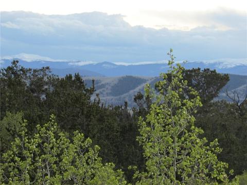 66 Pintail Way, Como, CO 80432 photo 5
