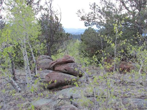 66 Pintail Way, Como, CO 80432 photo 14