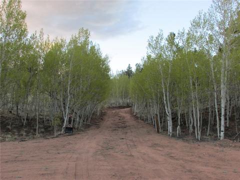 66 Pintail Way, Como, CO 80432 photo 13