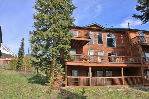 56 Bashore Ct, Silverthorne, CO 80498 photo 3