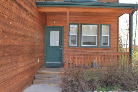 56 Bashore Ct, Silverthorne, CO 80498 photo 5