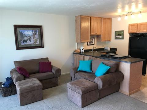 350 E La Bonte #39, Dillon, CO 80435 photo 3