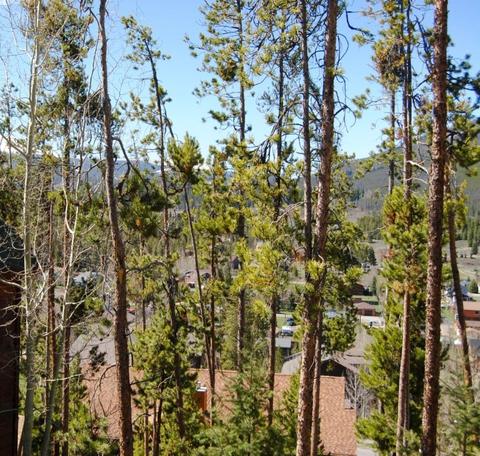 583 Idlewild Dr, Dillon, CO 80435 photo 8