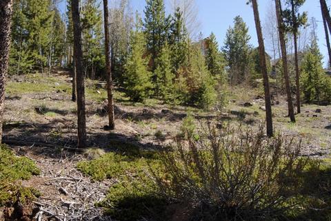 583 Idlewild Dr, Dillon, CO 80435 photo 5