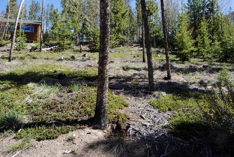 583 Idlewild Dr, Dillon, CO 80435 photo 1