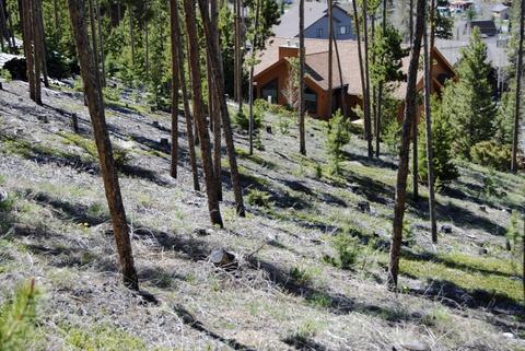 583 Idlewild Dr, Dillon, CO 80435 photo 19