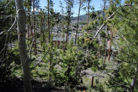 583 Idlewild Dr, Dillon, CO 80435 photo 20