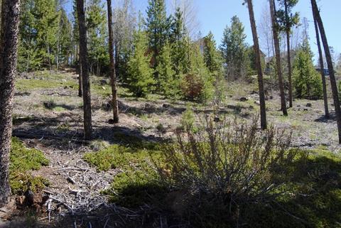 583 Idlewild Dr, Dillon, CO 80435 photo 10