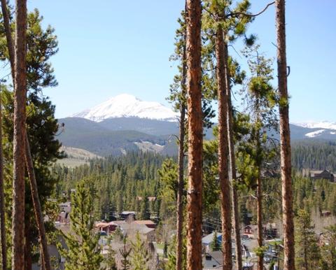 583 Idlewild Dr, Dillon, CO 80435 photo 4