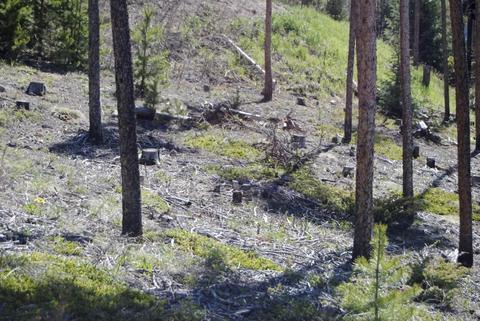 583 Idlewild Dr, Dillon, CO 80435 photo 2