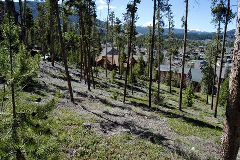 583 Idlewild Dr, Dillon, CO 80435 photo 21