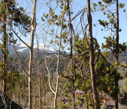 583 Idlewild Dr, Dillon, CO 80435 photo 11