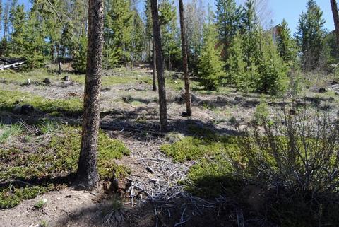 583 Idlewild Dr, Dillon, CO 80435 photo 7