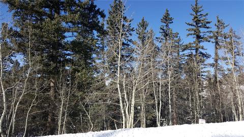 422 Bowstring Rd, Como, CO 80432 photo 6