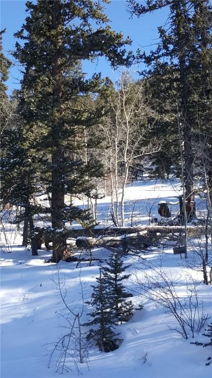 422 Bowstring Rd, Como, CO 80432 photo 17