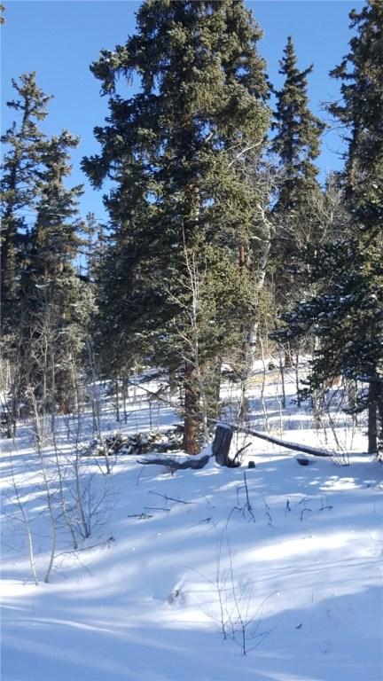 422 Bowstring Rd, Como, CO 80432 photo 18