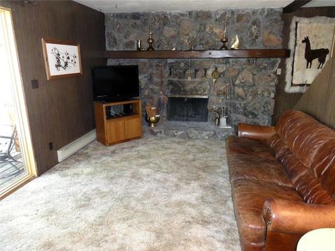 43 Solomons Ln, Silverthorne, CO 80498 photo 8