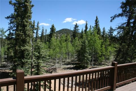 519 Bear Ln, Como, CO 80432 photo 23