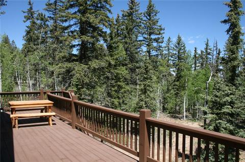 519 Bear Ln, Como, CO 80432 photo 24